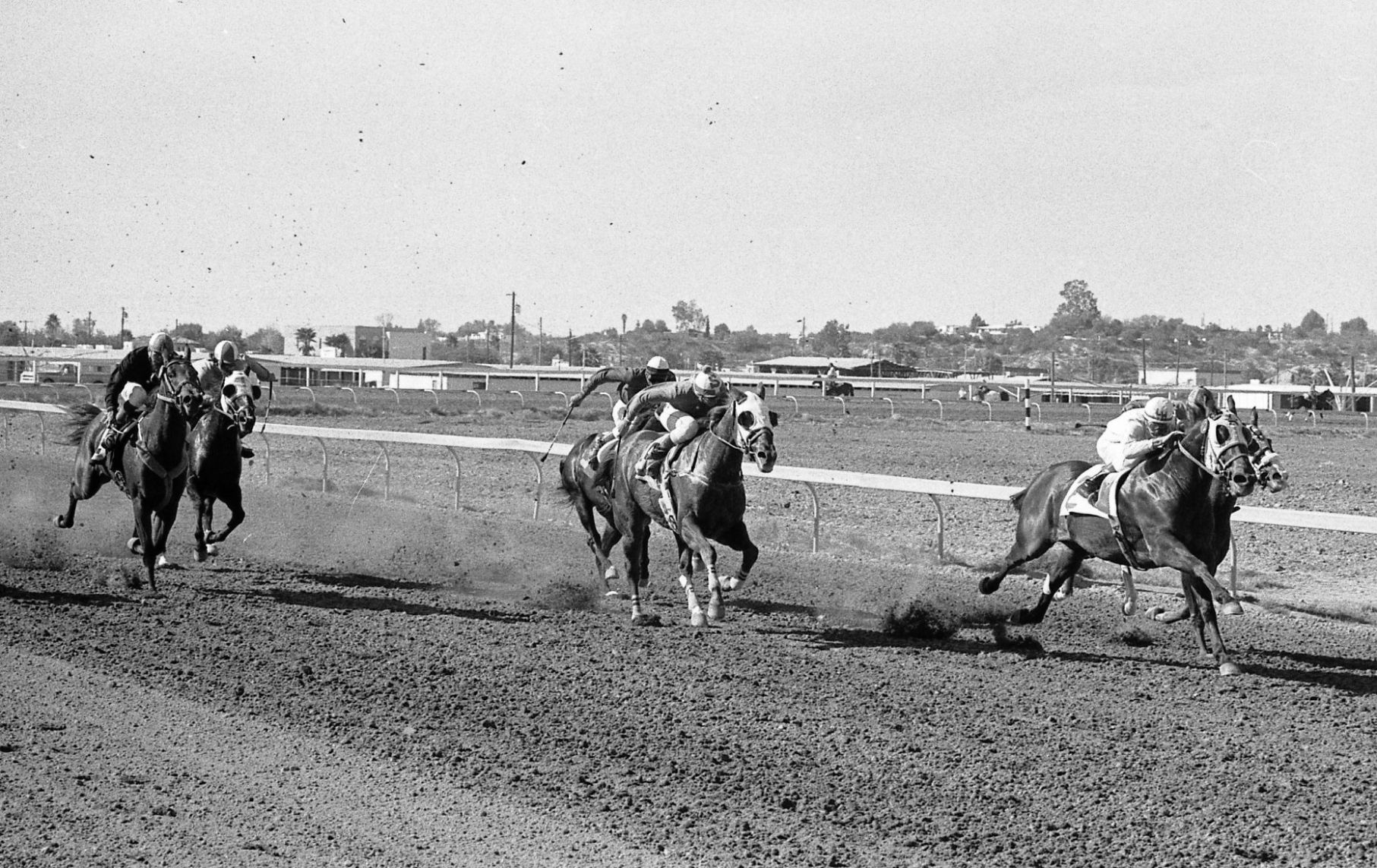 Horse racing at Rillito Park